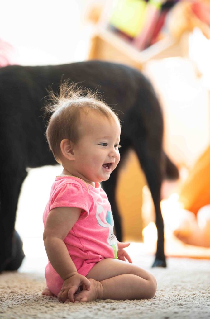 Baby girl wearing pink suit sitting on carpet with black dog in background