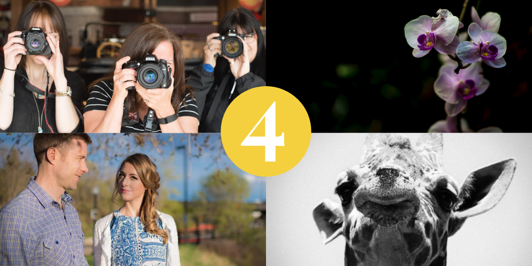 Gift Certificate – Portrait Bundle - Image 2