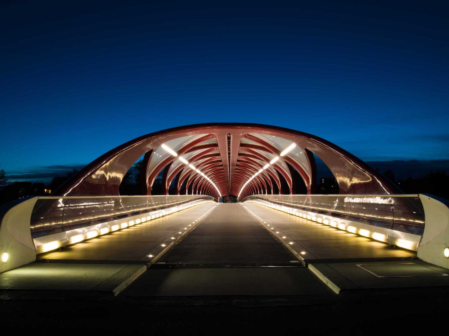 Night Photography - Image 8