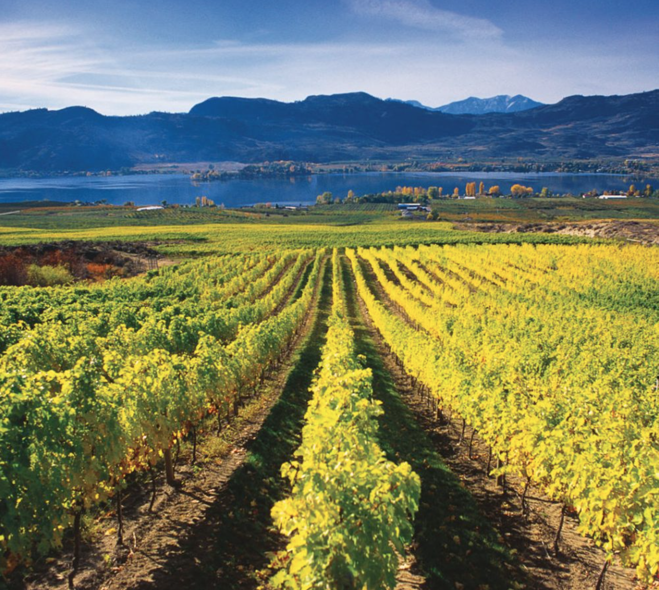 Capture Kelowna: An Okanagan Photography Escape Saturday September 27, 2025 - Image 11