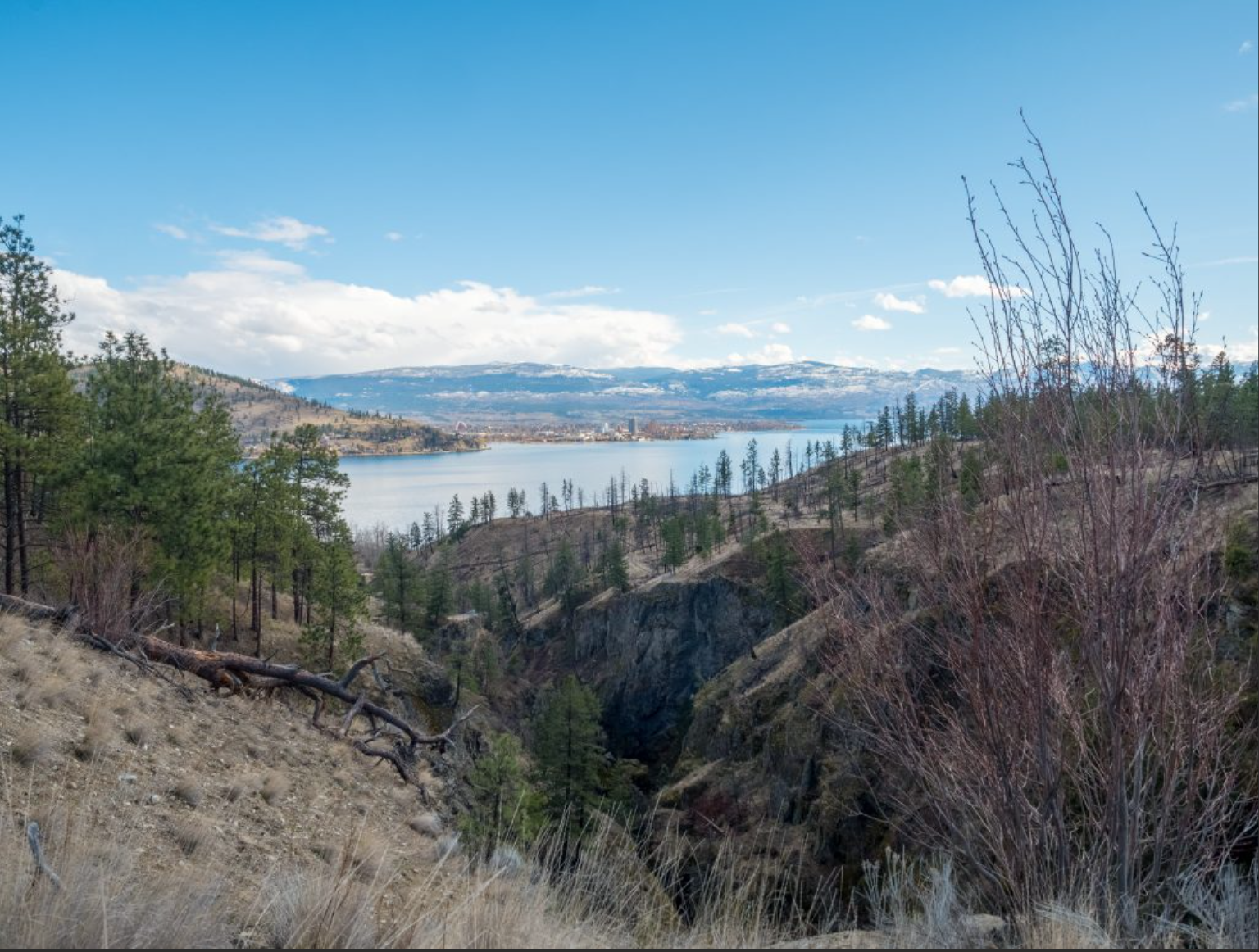 Capture Kelowna: An Okanagan Photography Escape Saturday September 27, 2025 - Image 3