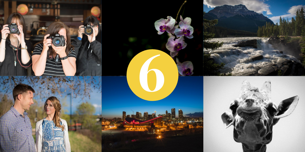 Gift Certificate – Ultimate Bundle - Image 2